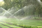Cassowarylandscaping-water-management-and-drainage-17.jpg; ?>
